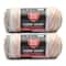 2 Pack Red Heart® Super Saver® Bitty Stripes™ Yarn